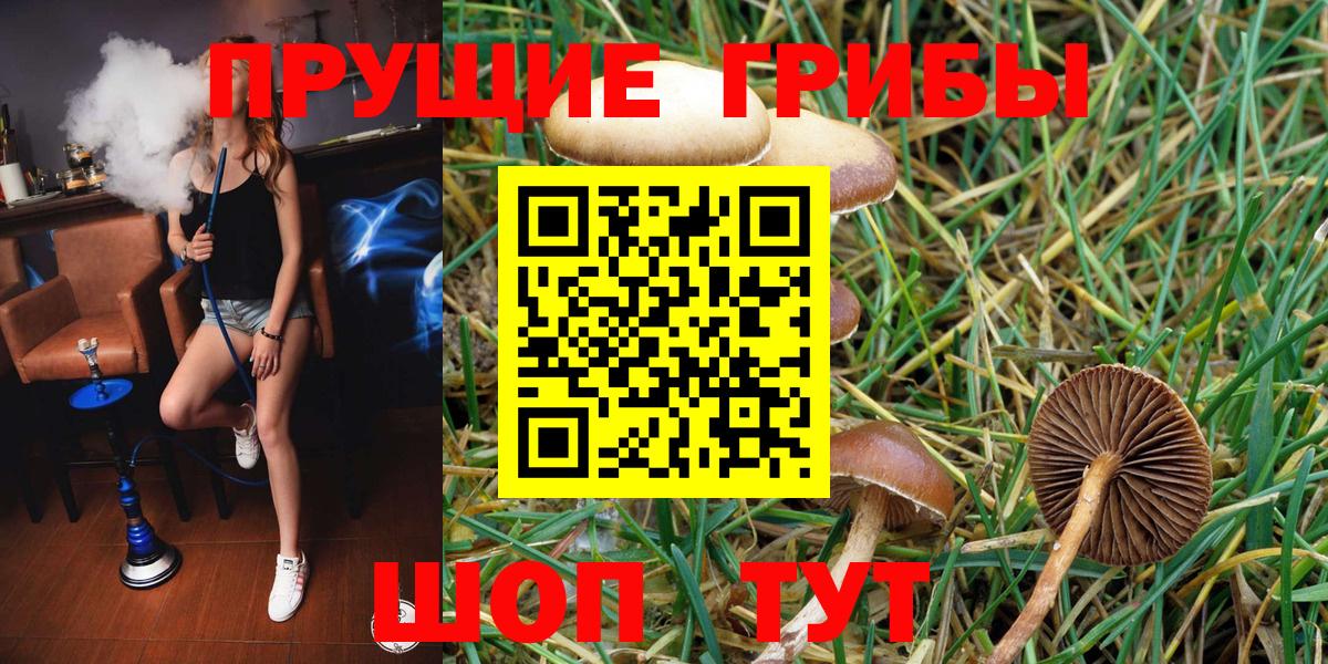 Галлюциногенные грибы GOLDEN TEACHER Краснотурьинск