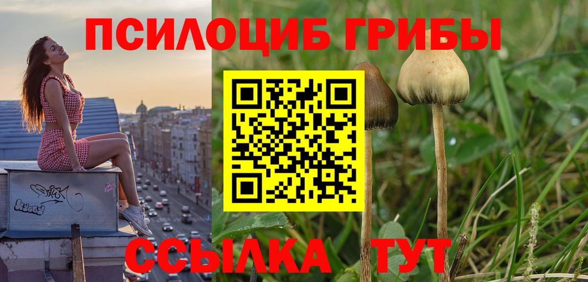 Галлюциногенные грибы MAGIC MUSHROOMS  Вход с VPN  Псилоцибиновые грибы MAGIC MUSHROOMS  Краснотурьинск 
